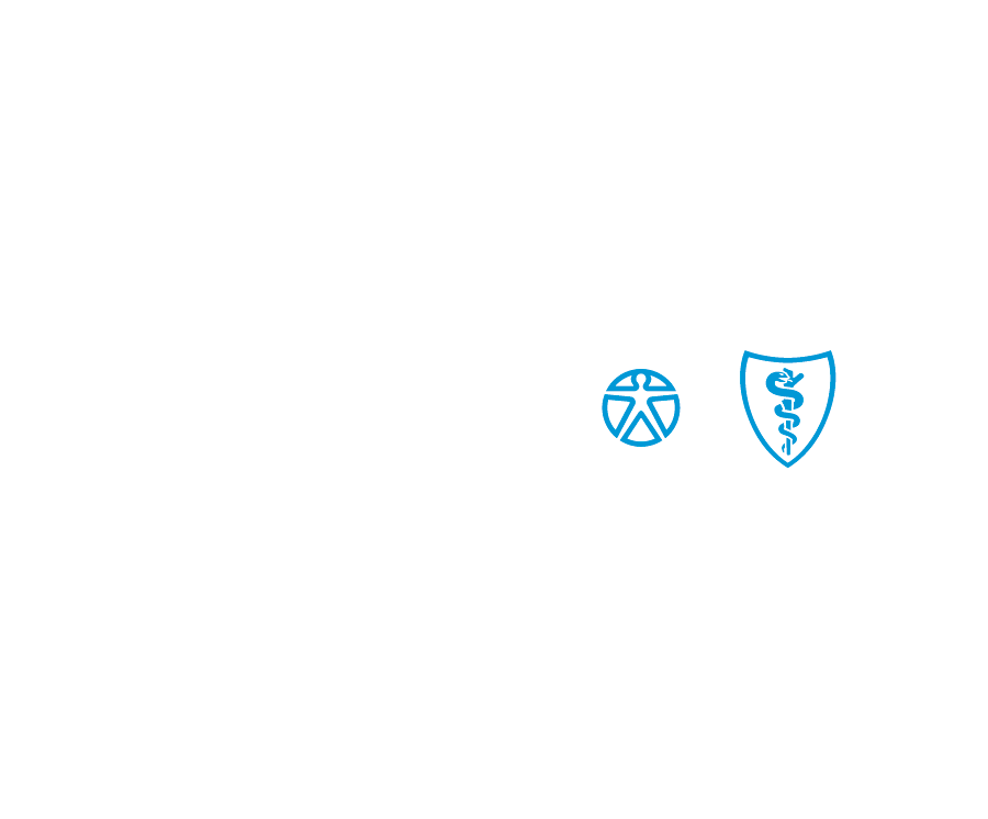 Florida Blue Logo